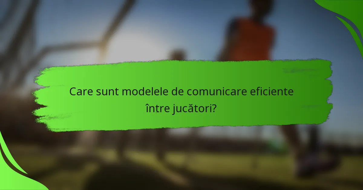 Care sunt modelele de comunicare eficiente între jucători?