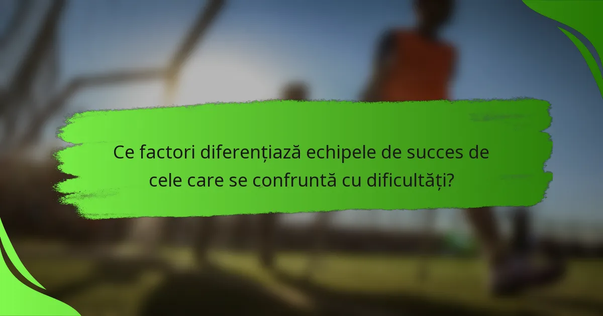 Ce factori diferențiază echipele de succes de cele care se confruntă cu dificultăți?
